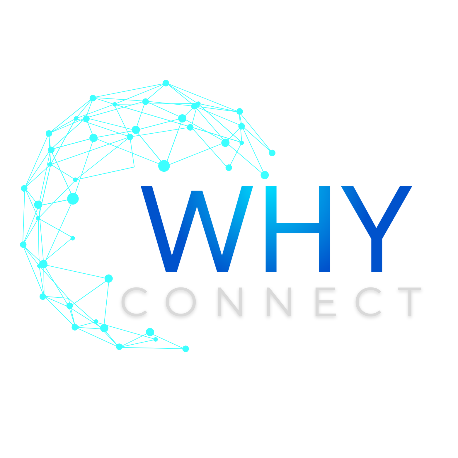 Logo Conecte-se ao Sucesso Digital